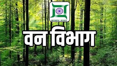 झारखंड वन विभाग में तबादले की फाइल अटकी, पोस्टिंग के इंतजार में युवा IFS अधिकारी