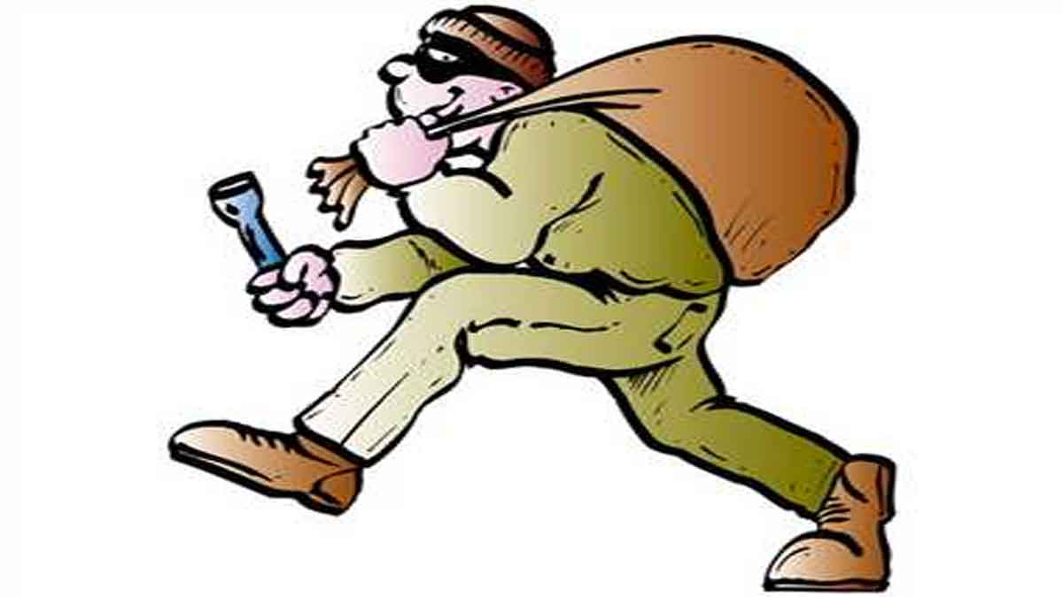 Thief  man