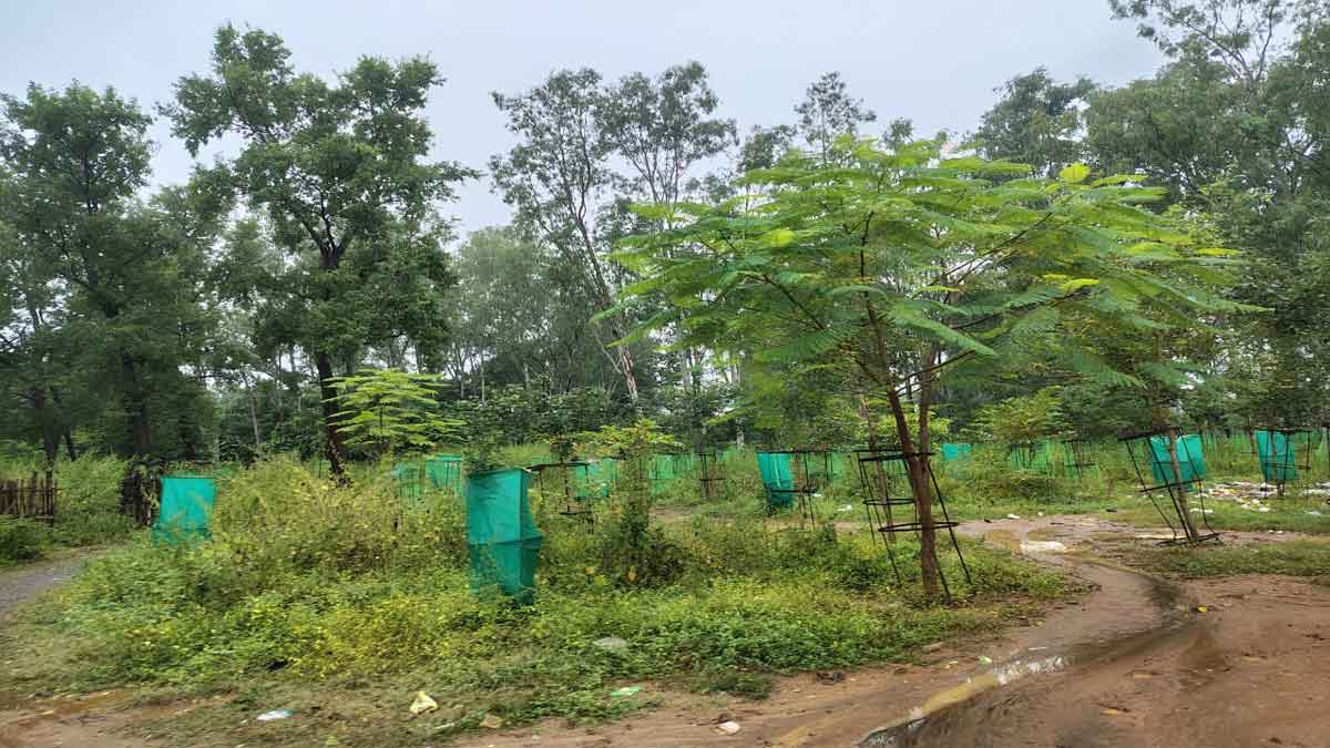 Pland girls hostel