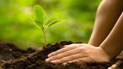 झारखंड में ग्रीन बजट की तैयारी: पर्यावरण के हिसाब से तय होंगे खर्चे