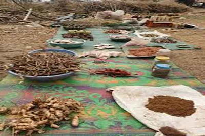 झारखंड के पास पर्याप्त जड़ी बूटी, मगर सरकार के पास औषधि अनुसंधान केंद्र का प्रस्ताव नहीं