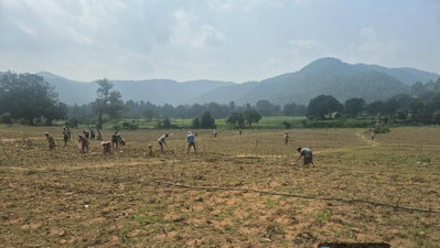 Gumla News: बिशुनपुर में चाय की खेती को बढ़ावा, DDC ने लिया जायजा