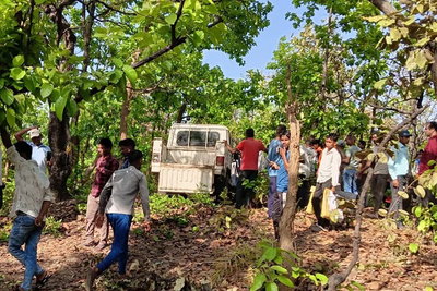 गोमिया के जंगल में हाथियों का हमला, महुआ चुनने गई महिला को कुचल कर मार डाला