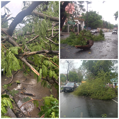 Ranchi Weather:  रांची में आंधी-तूफान से त्राहिमाम, सड़कों पर पेड़ गिरे, कई क्षेत्रों में बिजली गुल