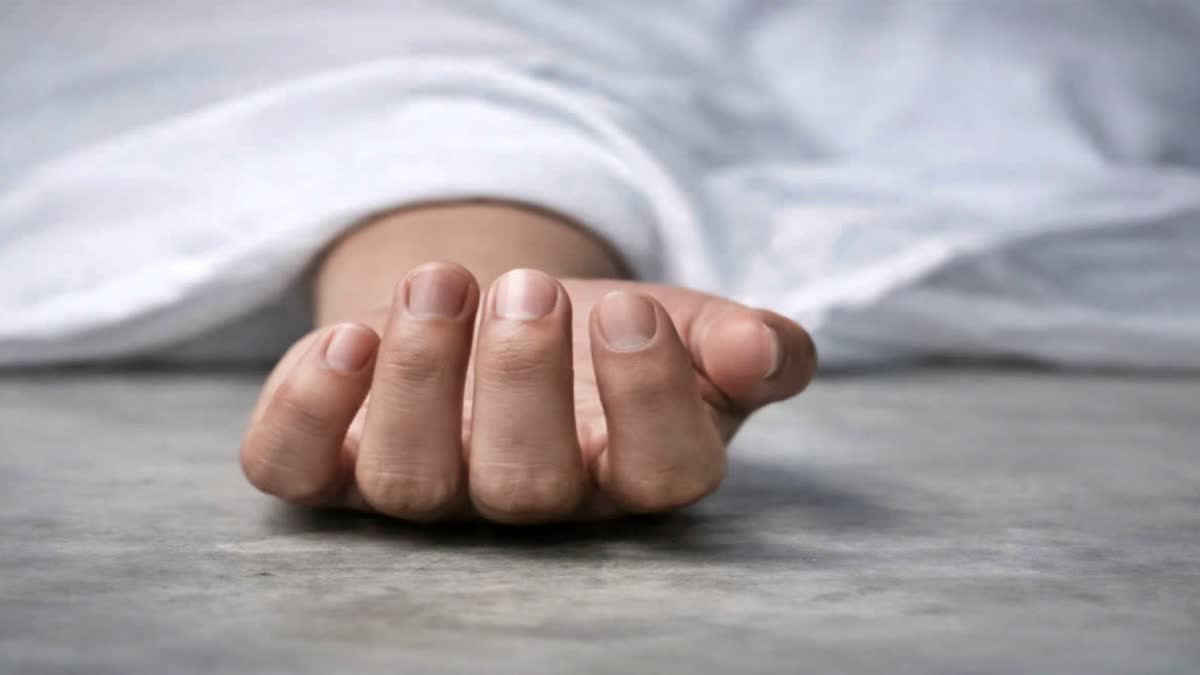 Chaibasa News: बड़ाजामदा-गुवा रेललाइन किनारे युवक का मिला शव, जांच में जुटी पुलिस