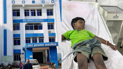 Saraikela News: चारपाई पर सोये 6 साल के मासूम की सांप के डंसने से मौत