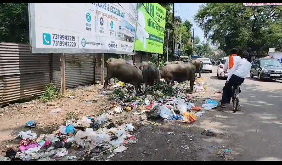 Garbage not picked up