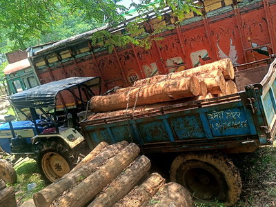 Chaibasa News: पोड़ाहाट जंगल में छिपाकर रखे गए 10 पीस साल बोटा जब्त