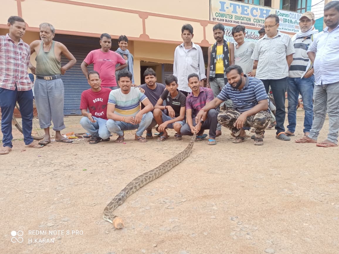 Jamshedpur News: ईटामुड़ा में निकला 10 फीट लंबा अजगर, सर्पमित्र ने सुरक्षित किया रेस्क्यू