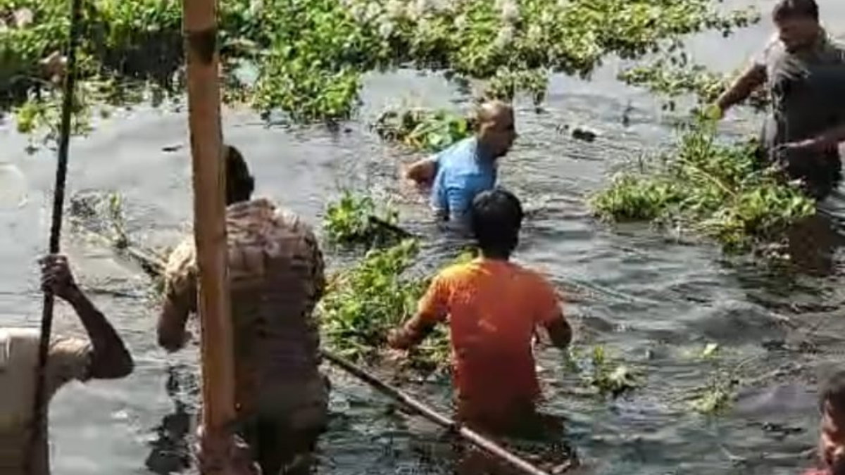 Kalindi Pond