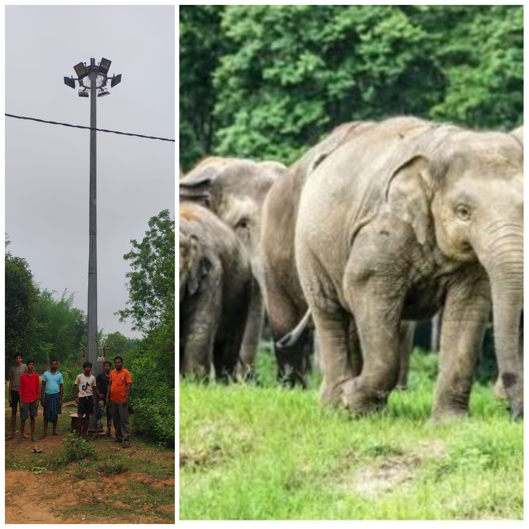 बहरागोड़ा: हाथी गलियारे में अंधेरा, दूधकुंडी चौक की खराब हाईमास्ट लाइट खतरे का संकेत