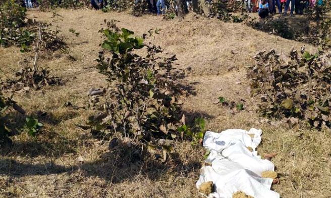 सिमडेगा: जख्मी अवस्था में जंगल से मिला महिला का शव, जांच शुरू