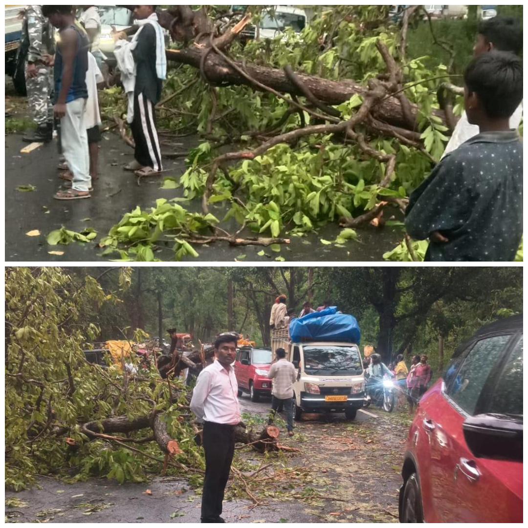 Chaibasa News: तेज आंधी-बारिश से बंदगांव में कई जगह गिरे पेड़, बाधित रहा यातायात