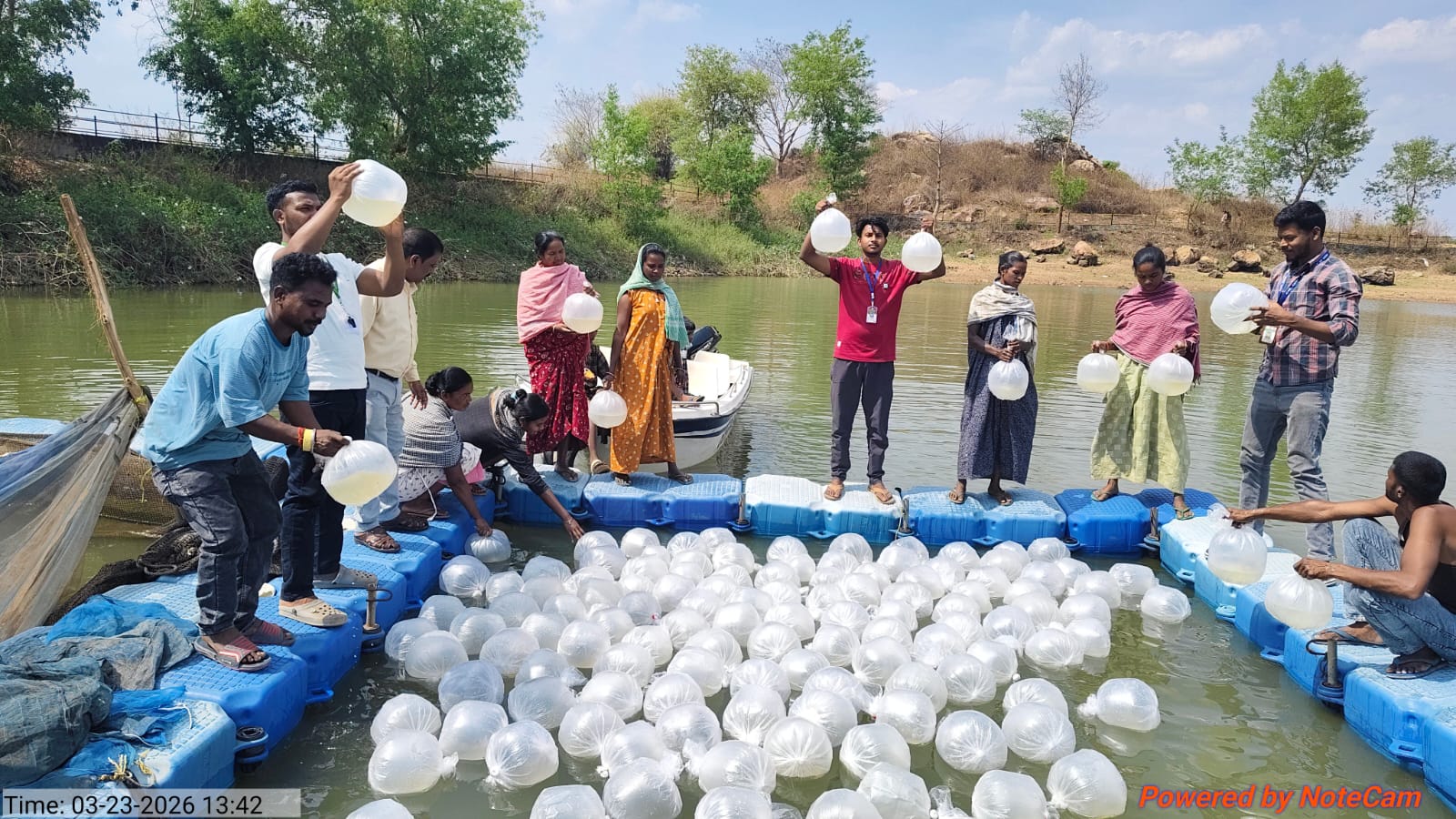 Simdega News: केलाघाघ जलाशय से बदल रही जिंदगी, प्रॉन पालन ने जनजातीय परिवार बन रहे आत्मनिर्भर