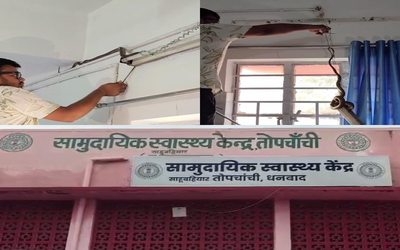 Dhanbad: ऑपरेशन थिएटर से निकला सांप, मची अफरा-तफरी