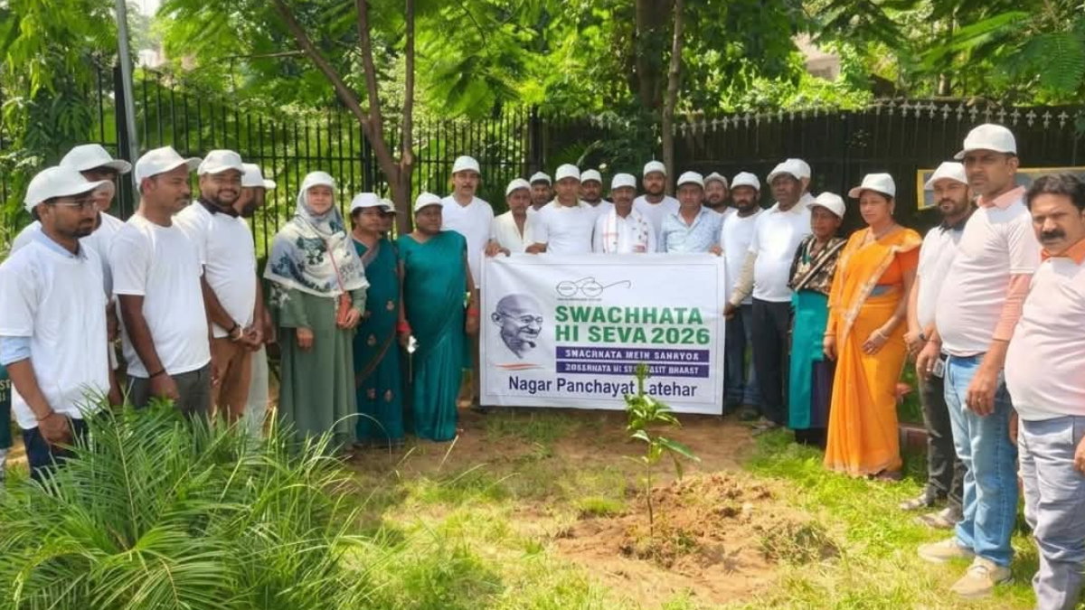 Tree Plantation