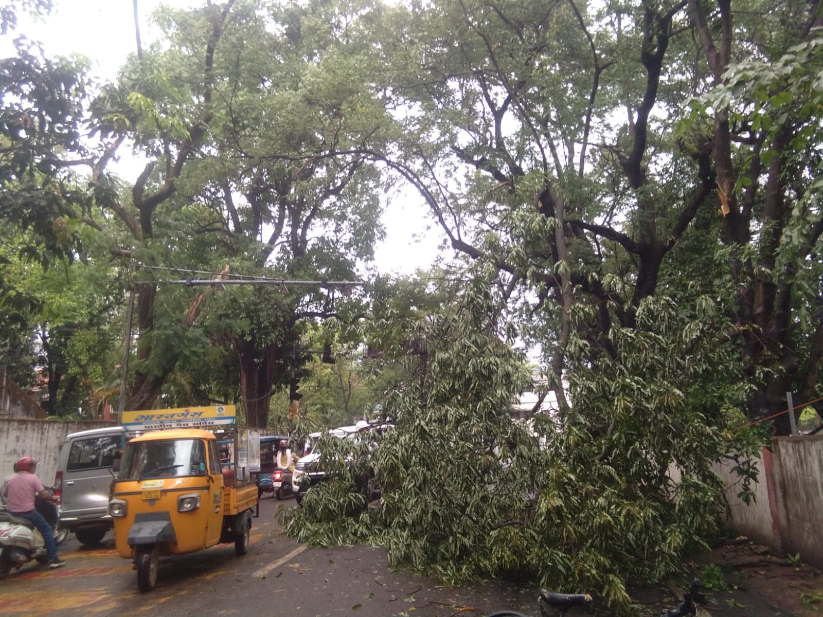रांची: आंधी-बारिश से पेड़ों की डालियां टूटीं, आवागमन बाधित, गर्मी से मिली राहत