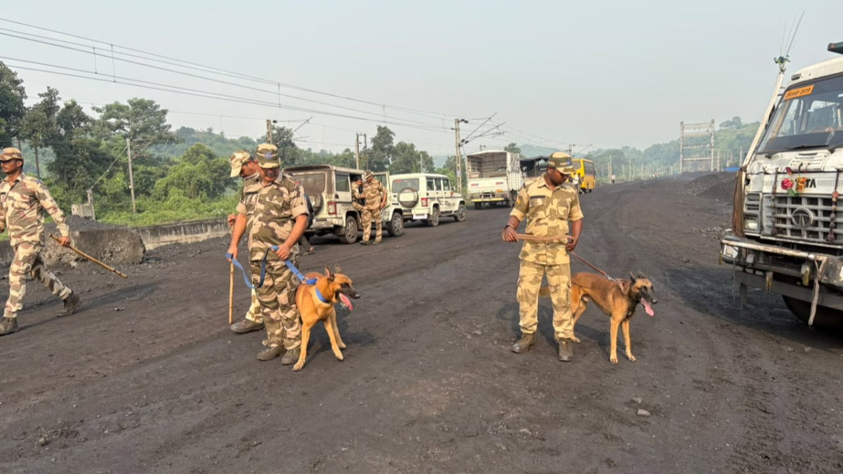 Coal seized