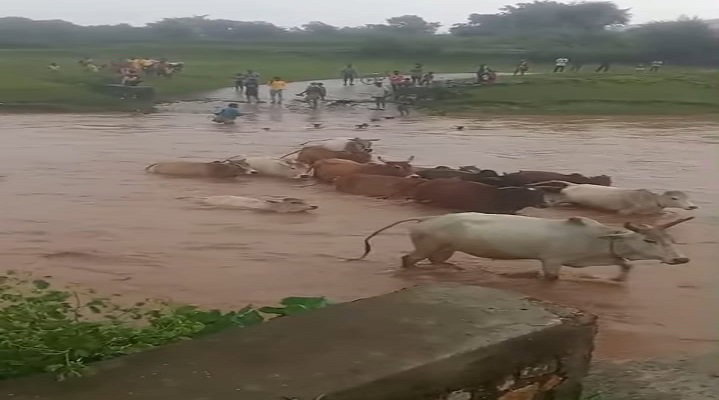 No bridge
