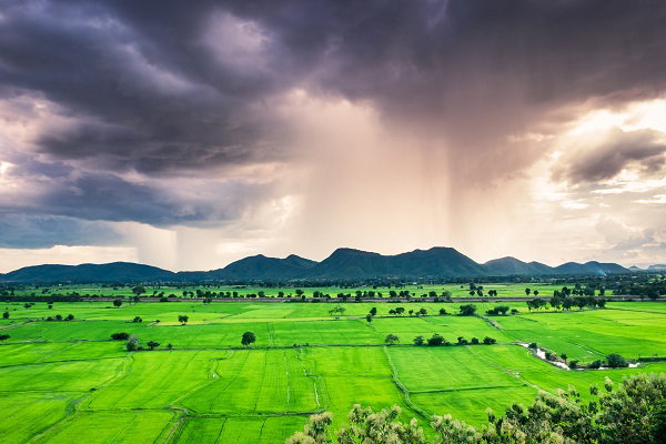 Bihar Weather: बिहार में मानसून ने दी दस्तक, कई जिलों में भारी बारिश का अलर्ट