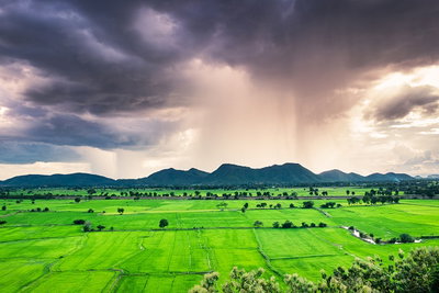 Bihar Weather: बिहार में मानसून ने दी दस्तक, कई जिलों में भारी बारिश का अलर्ट