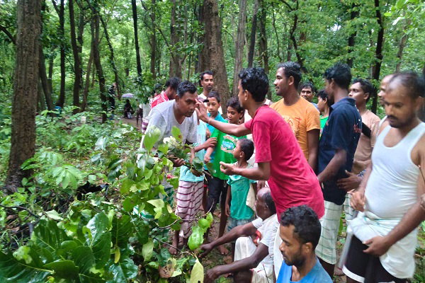Uploaded Image