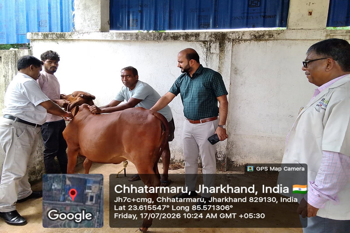 Uploaded Image
