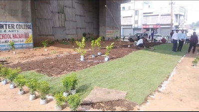 Hazaribagh News: सिंघानी ओवरब्रिज के नीचे एनएचएआई ने शुरू कराया सौंदर्यीकरण