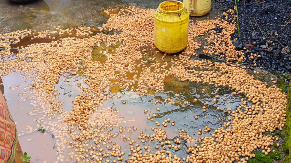 Mahua liquor