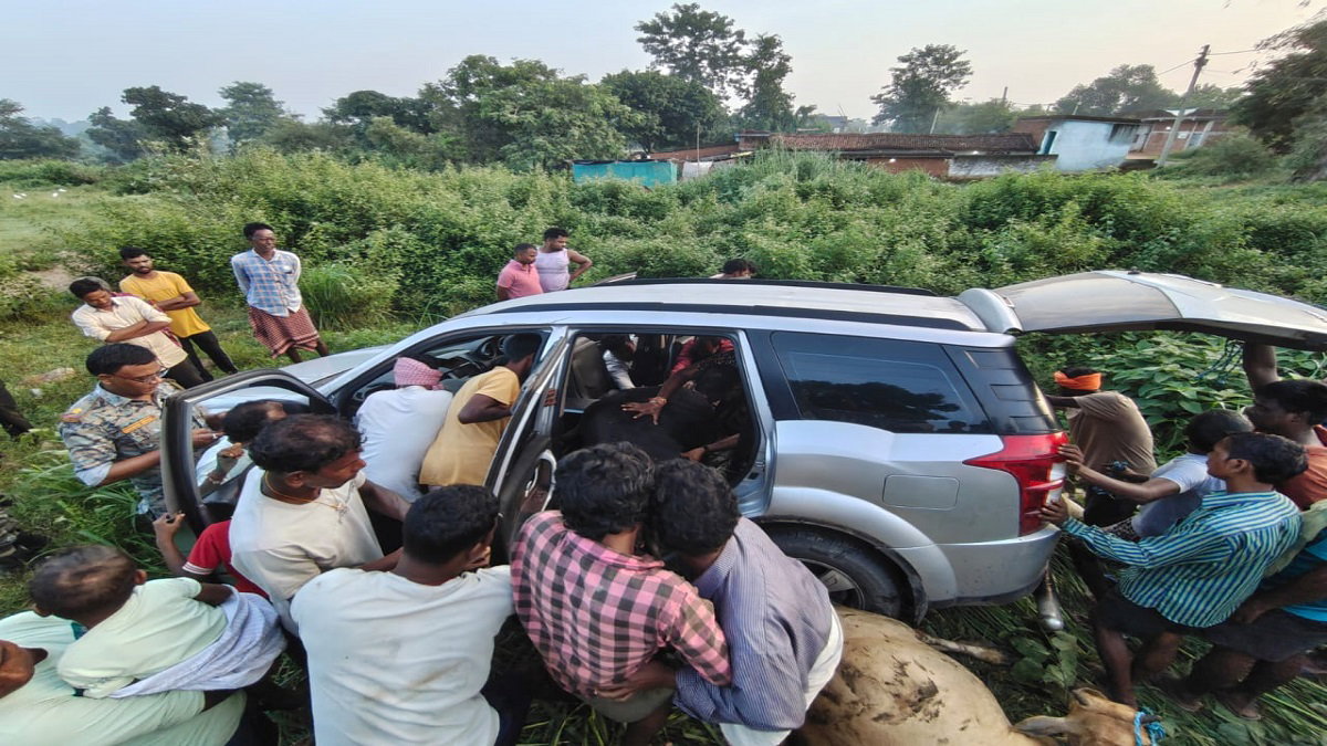 Car loaded with cattle