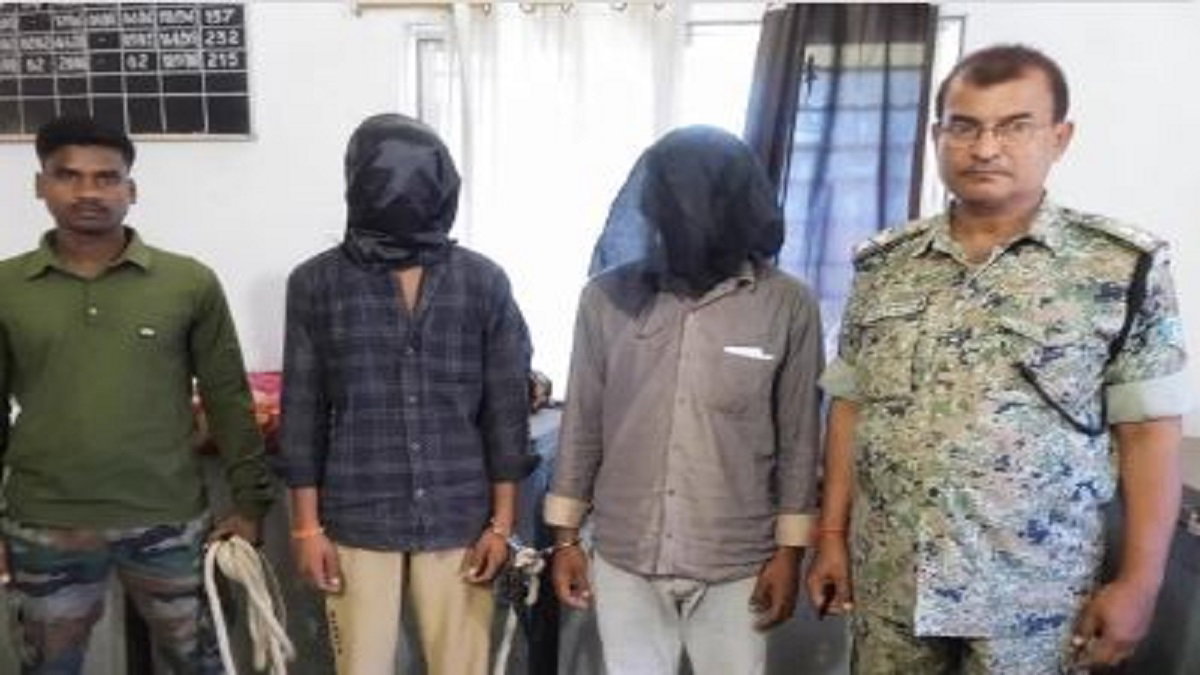 absconding accused