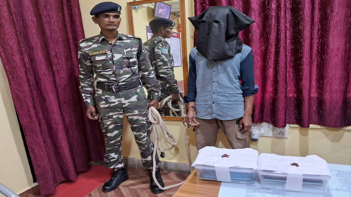 Accused arrested