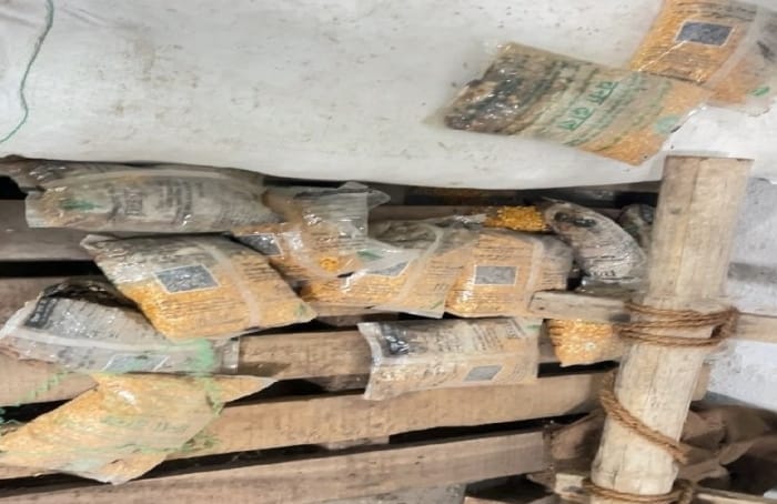 Saraikela : गम्हरिया खाद्य गोदाम में रखे-रखे खराब हो गई PDS की दाल, गरीबों के राशन पर संकट गहराया