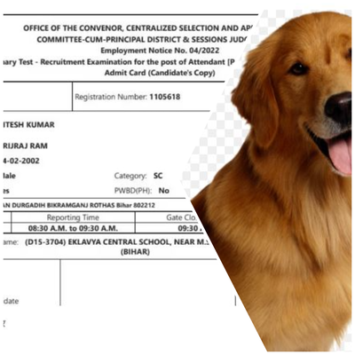 बिहार में गजबे है! एडमिट कार्ड में कुत्ते की फोटो, जानें पूरा मामला