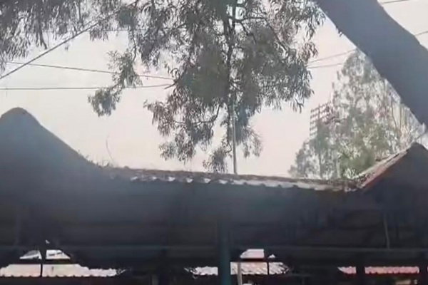 Ranchi: मोरहाबादी में हाईटेंशन तार पर गिरा पेड़, टला बड़ा हादसा