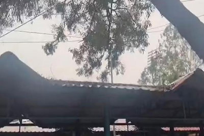 Ranchi: मोरहाबादी में हाईटेंशन तार पर गिरा पेड़, टला बड़ा हादसा
