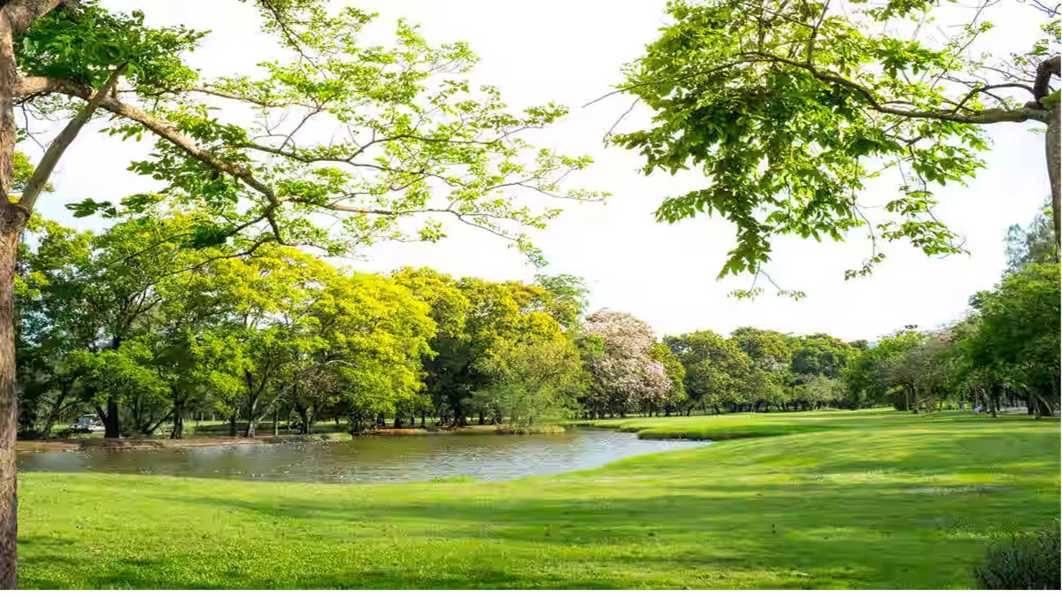 Kokar Distillery Park