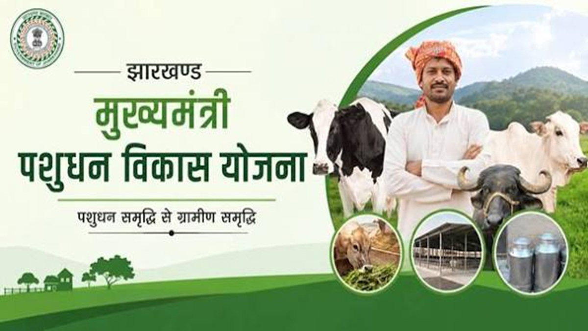 मुख्यमंत्री पशुधन योजना : बकरी, सूकर, भेड़ व चूजे की सप्लाई के लिए एजेंसियों से मांगे गए आवेदन