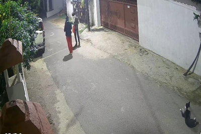 Ranchi News :  RSS ऑफिस पर देर रात पेट्रोल बम से हमला , जांच में जुटी पुलिस