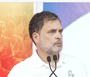 पोन्नेरी में राहुल की हुंकार, कहा- भाजपा तमिलनाडु पर दिल्ली से शासन चलाना चाहती