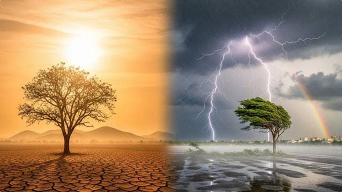 Rain and Drought
