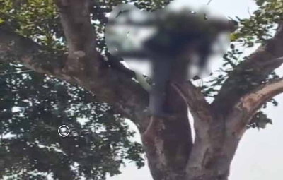 रांची :  बुढ़मू में हाई वोल्टेज तार की चपेट में आने से युवक की मौत