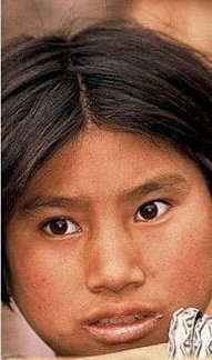 सेक्स वर्कर, पार्लर लेडी, मोमो, चिंकी जैसे नस्लीय शब्दों से आक्रोशित पूर्वोत्तर