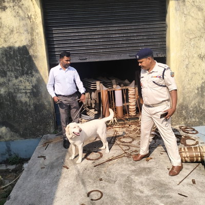 रांची:  पिठौरिया के बिजली ग्रिड को चोरों ने बनाया निशाना, 1000 किलो कॉपर कॉइल लेकर फरार