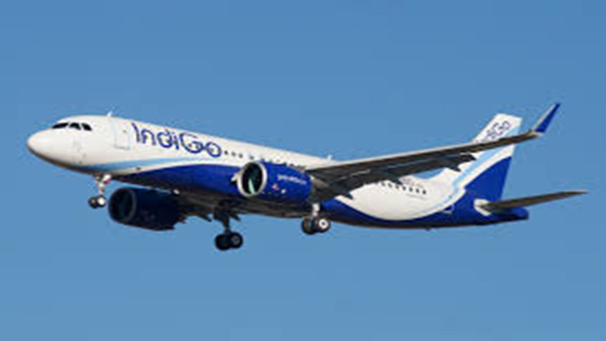 INDIGO
