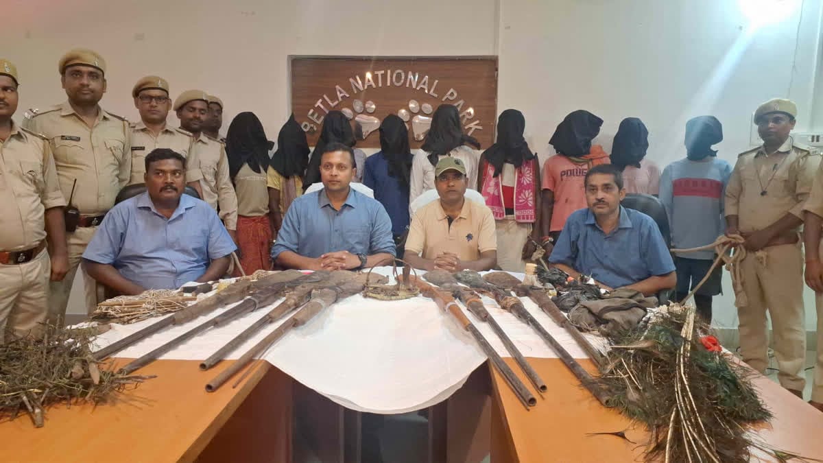 पलामू टाइगर रिजर्व में बदलाव की बयार, हथियार छोड़ रहे ग्रामीण , जंगल से 40 बंदूकें बरामद