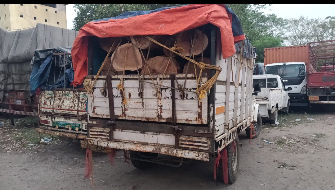Latehar Desk : अवैध लकड़ी के साथ दो तस्कर गिरफ्तार