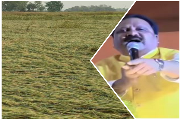 बिहार: सीमांचल में आंधी-बारिश से फसल नष्ट, लोकसभा में उठा मुद्दा