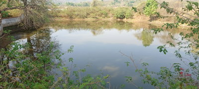 Latehar News : 24 घंटे के बाद भी नहीं मिला दुर्गा मांझी का शव, गोताखोरों को बुलाने की मांग