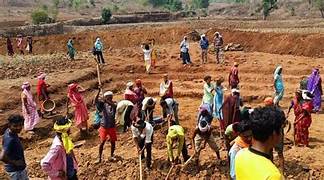 503.2 करोड़ मजदूरी भुगतान लंबित, मनरेगा या वीबी ग्राम जी में पिस रहे लाखों श्रमिक